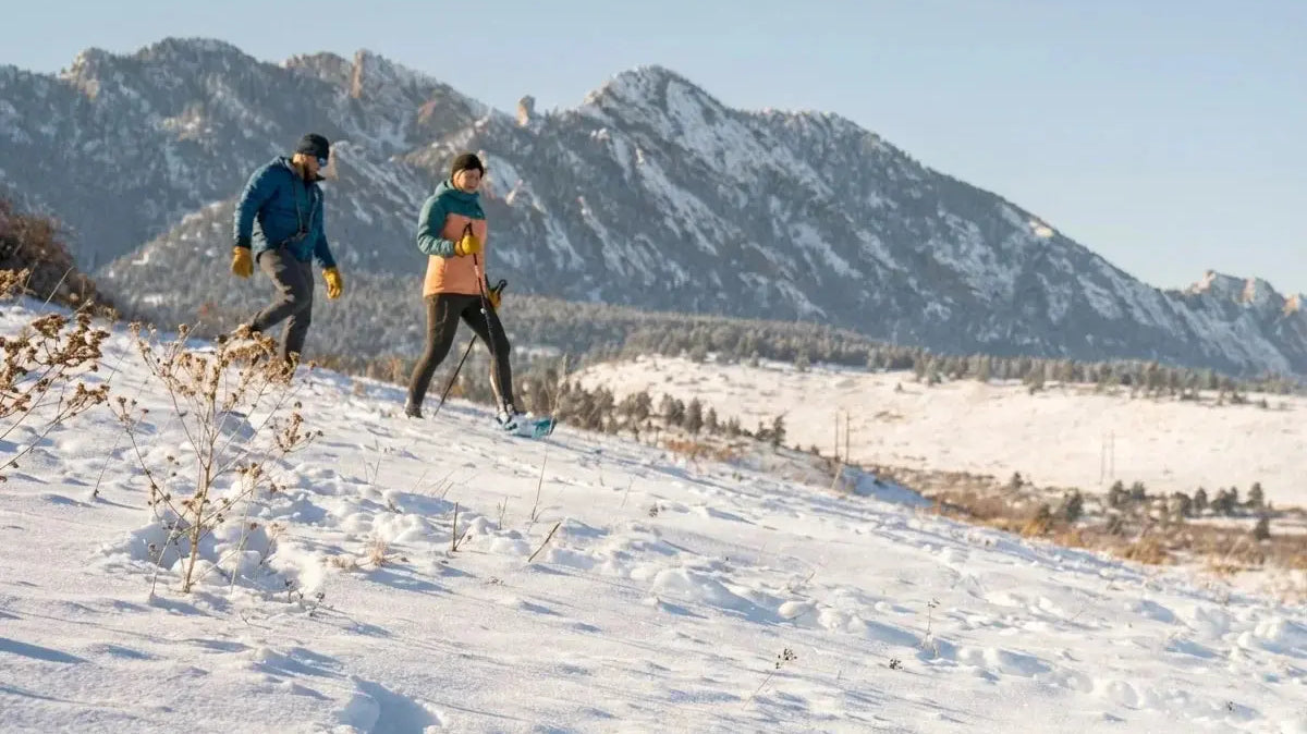 best adventure van How to Choose the Right Van for Your Adventure: A Practical Van Buying Guide van camper conversion -