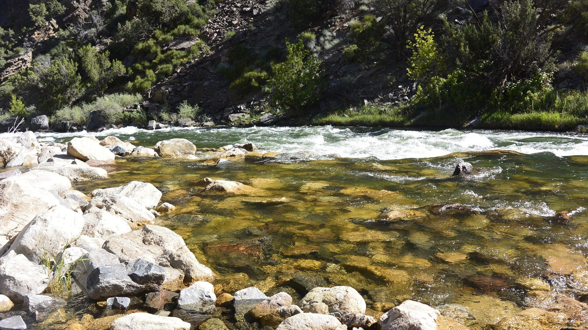 Best places to fly fish in Colorado - Clear, rocky trout water on the Gunnison River in the Gunnison Gorge