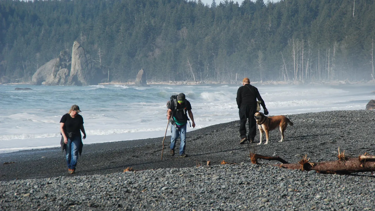 Dog friendly beaches near me - Visitors walking a leashed dog on Rialto Beach, Olympic National Park