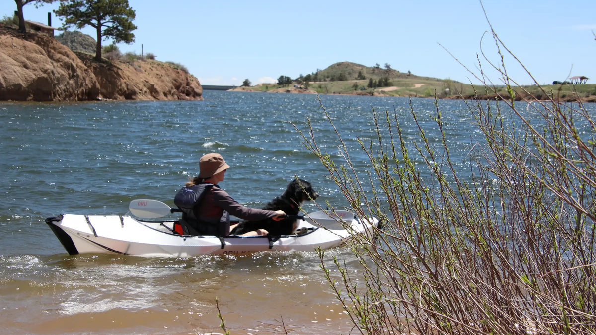 dog friendly beaches near me - The prominent feature of this scene is a person kayaking on a lake with a black