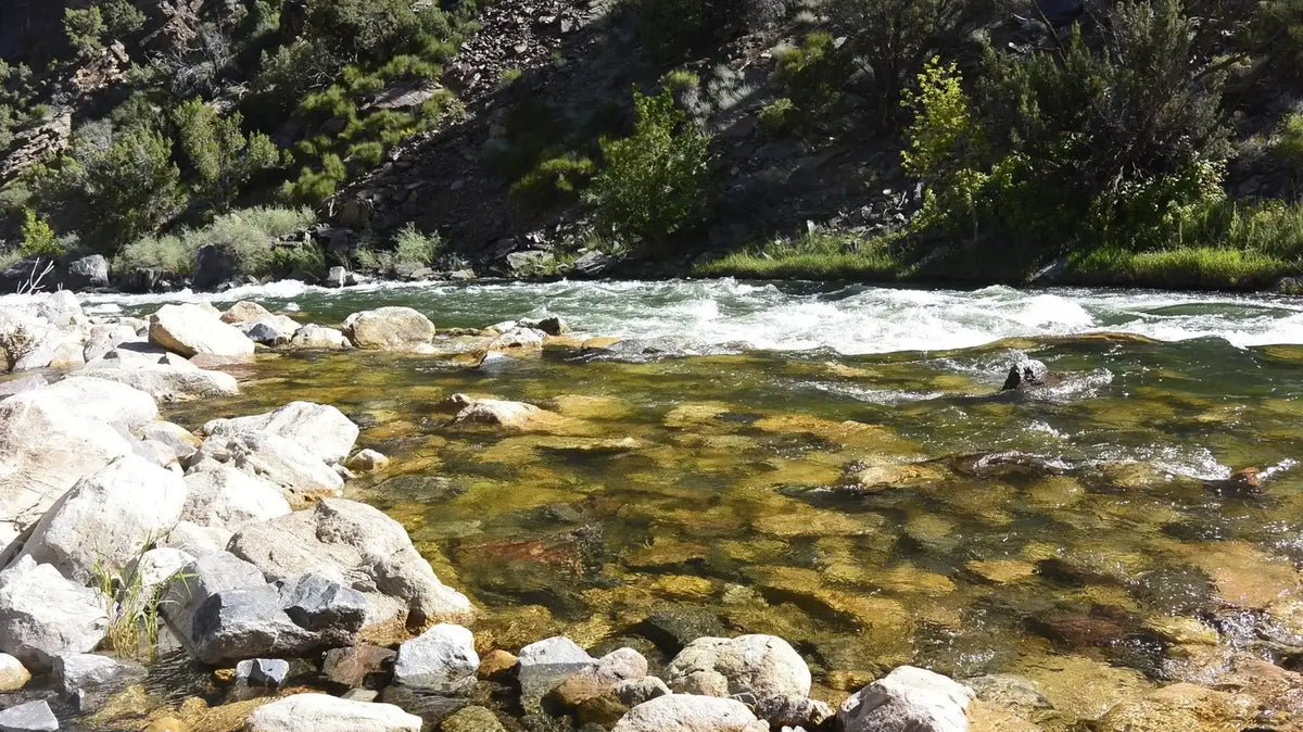 Best places to fly fish in Colorado - Clear, rocky trout water on the Gunnison River in the Gunnison Gorge