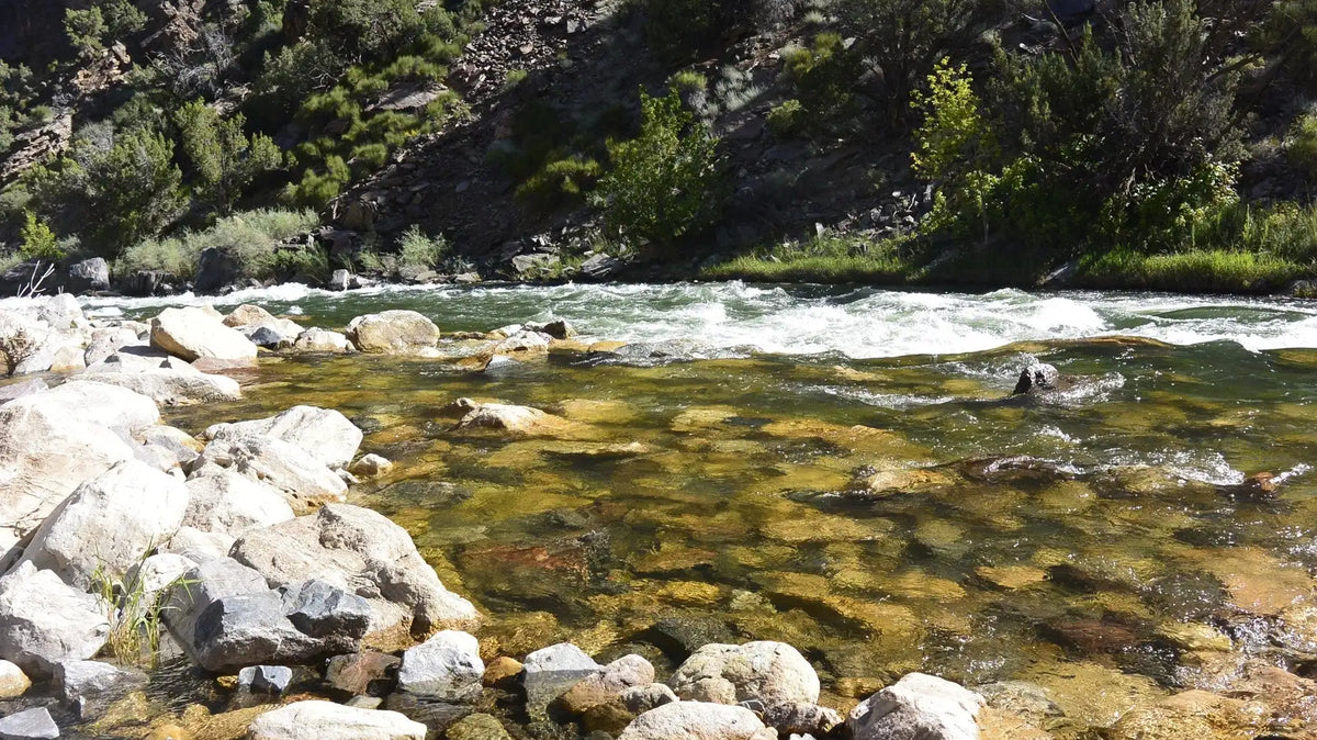 Best places to fly fish in Colorado - Clear, rocky trout water on the Gunnison River in the Gunnison Gorge