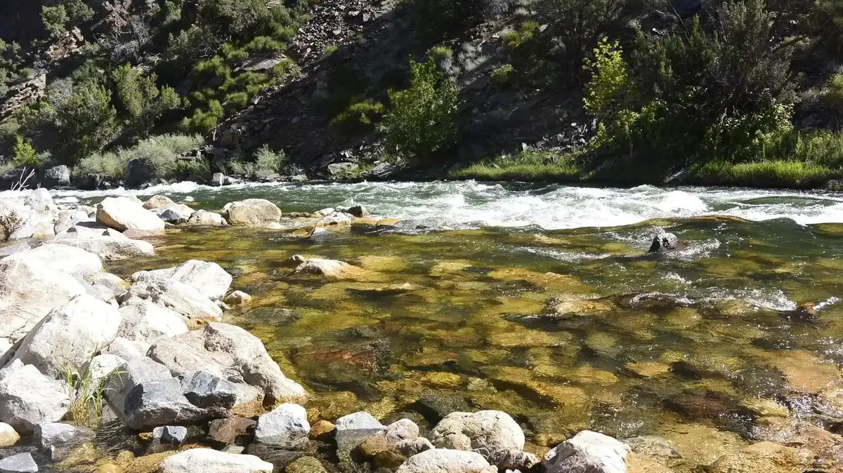 Best places to fly fish in Colorado - Clear, rocky trout water on the Gunnison River in the Gunnison Gorge