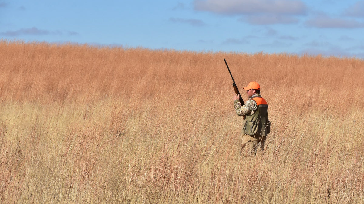 Hunting lodge - Upland hunter in blaze orange carrying a shotgun through tall prairie grass on a South Dakota wildlife refuge