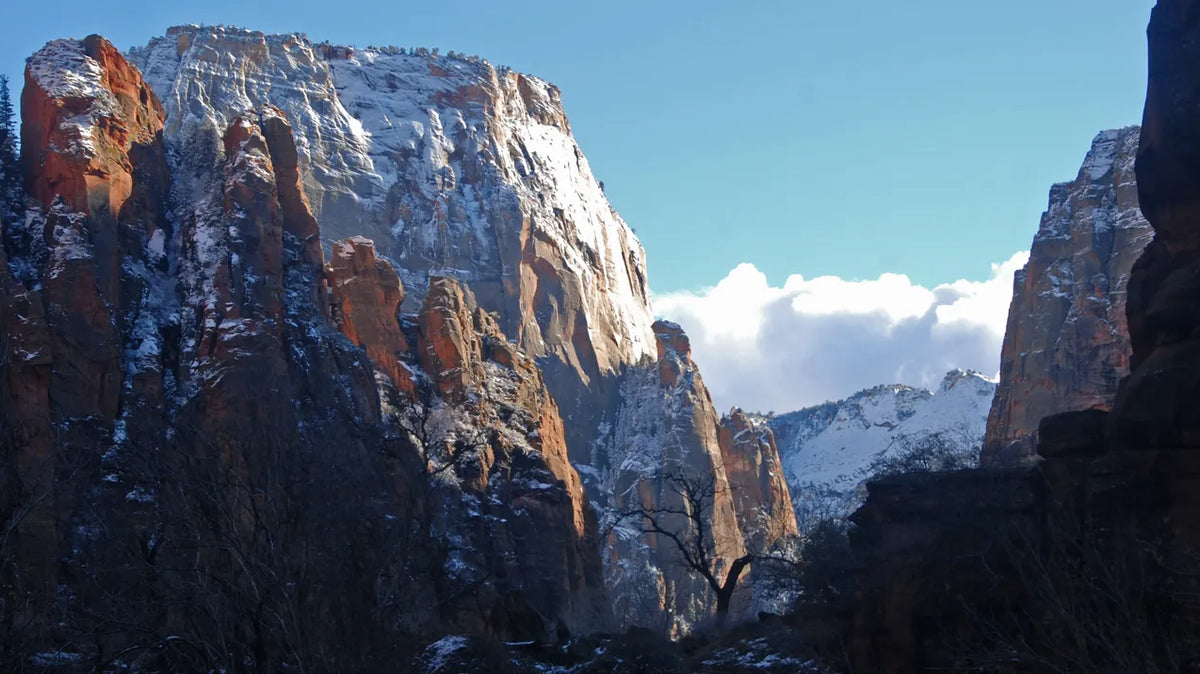 Zion hikes - Evening light on the Great White Throne in Zion Canyon