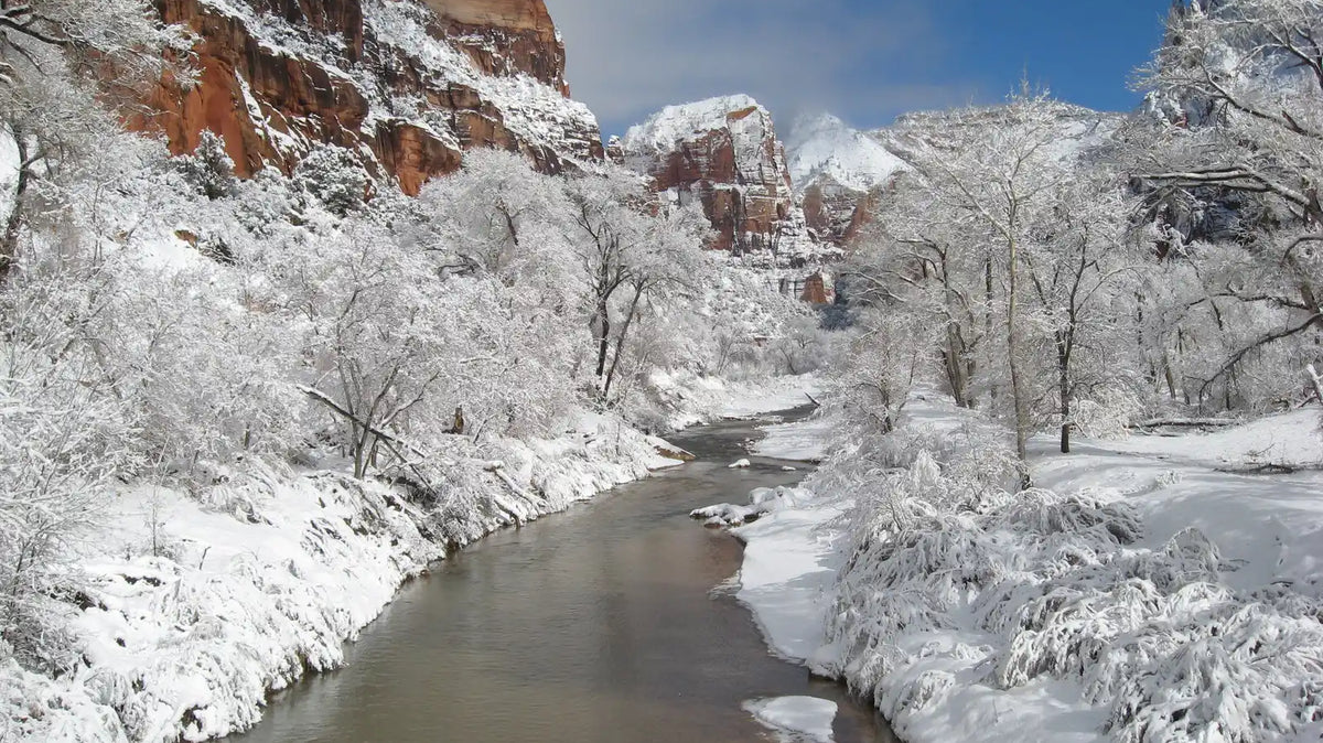 zion national park winter - The Virgin River running through a fresh snowfall in Zion Canyon