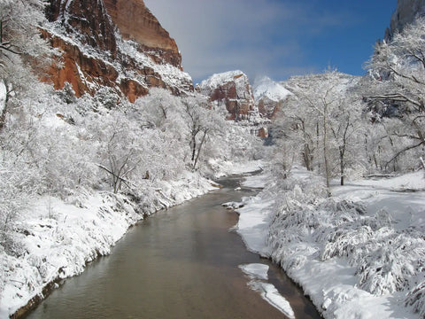 zion national park winter - The Virgin River running through a fresh snowfall in Zion Canyon