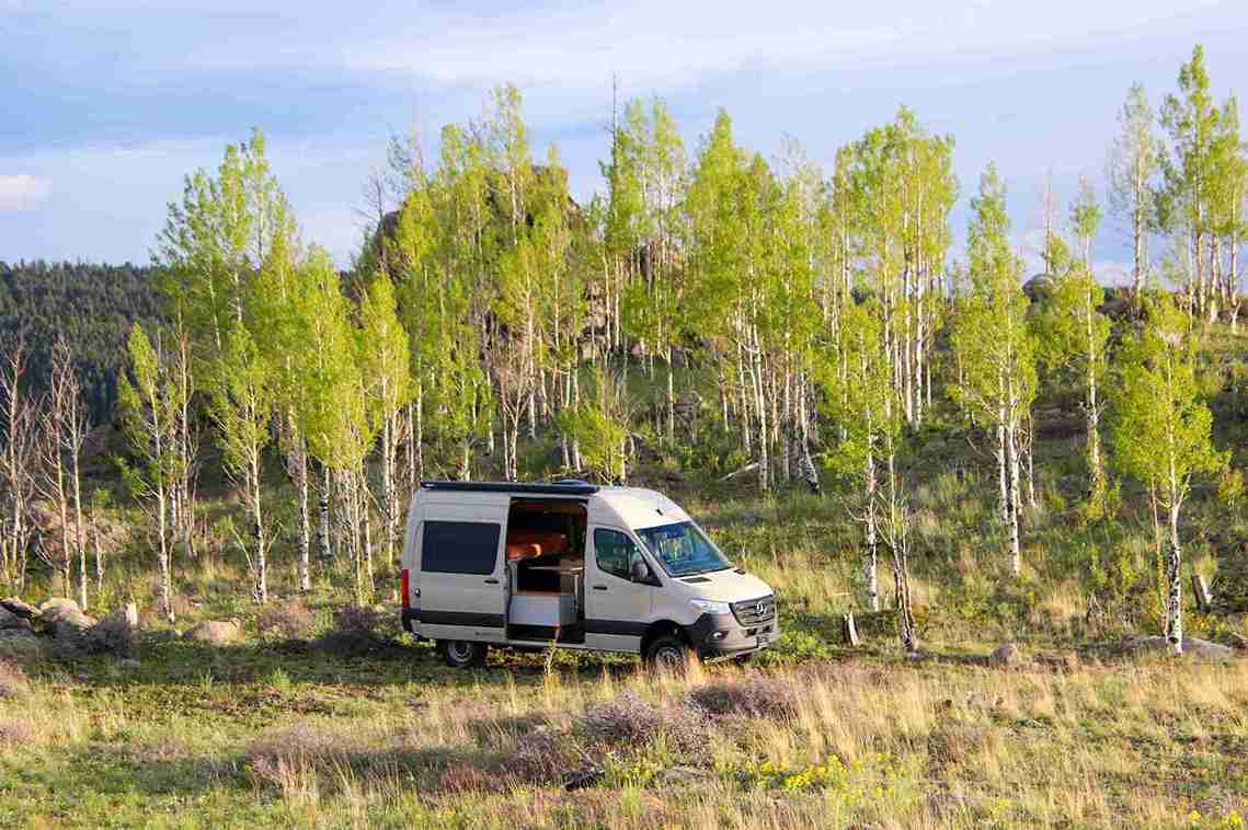Eco-Friendly Van Conversion by The Vansmith with Side Door Open in a Field with Trees