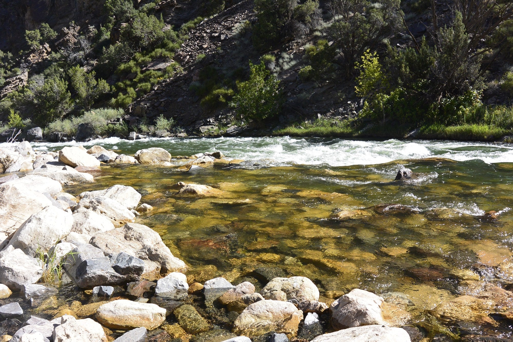 Best places to fly fish in Colorado - Clear, rocky trout water on the Gunnison River in the Gunnison Gorge