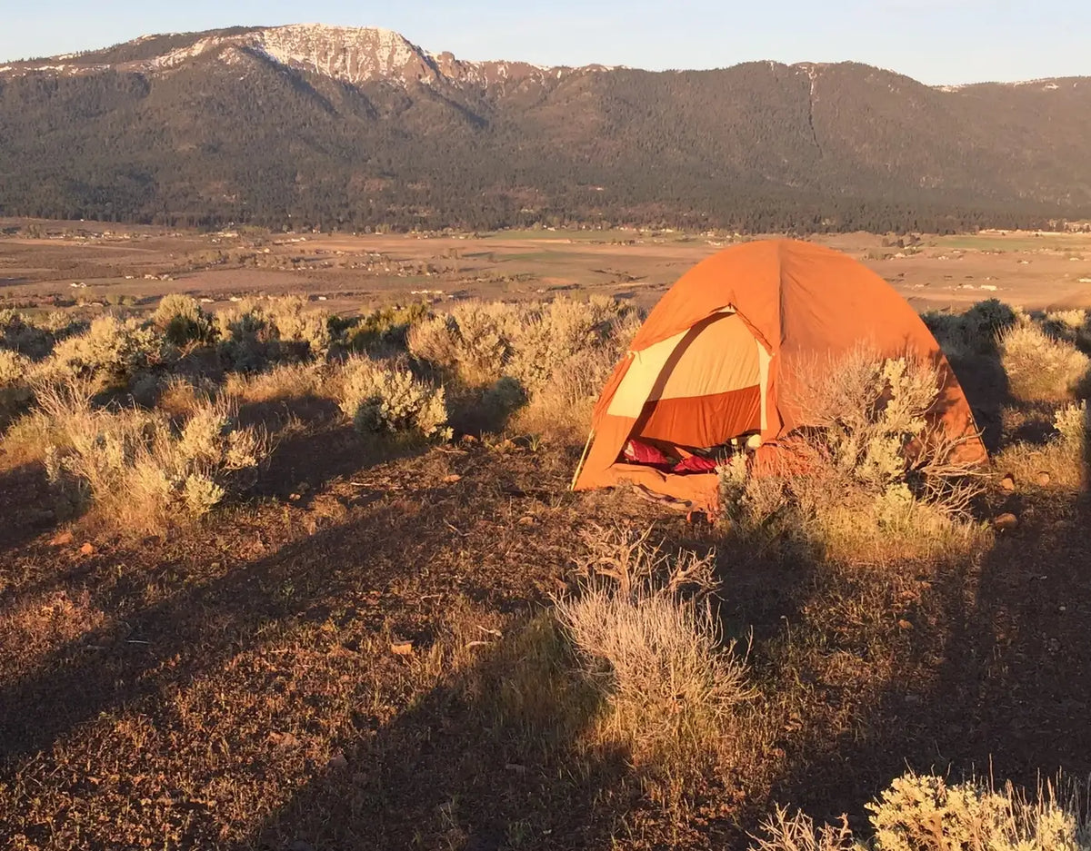 Dispersed Camping Rules and Stay Limits | The Vansmith