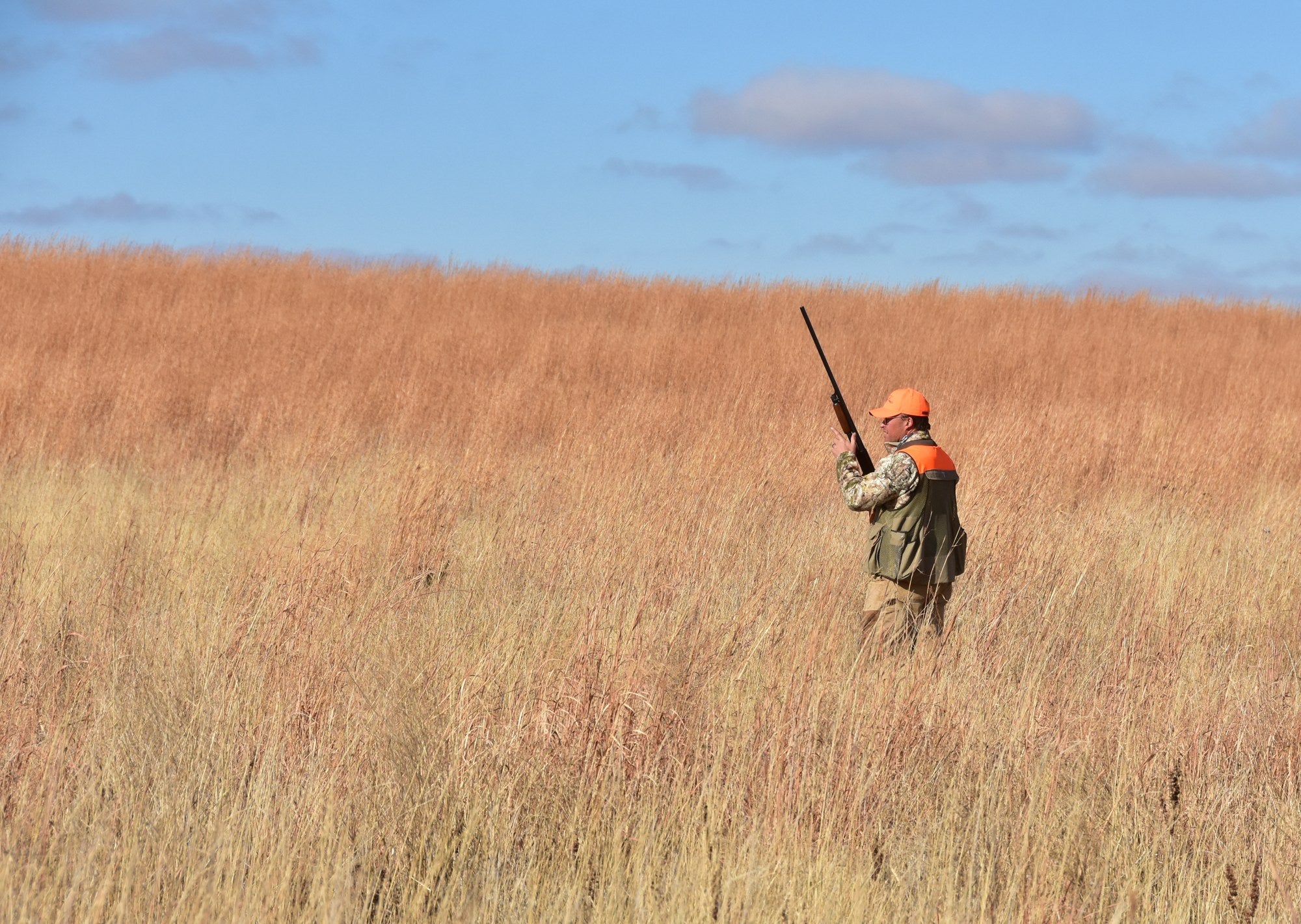 Hunting lodge - Upland hunter in blaze orange carrying a shotgun through tall prairie grass on a South Dakota wildlife refuge