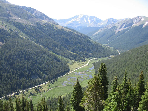 Independence Pass Guide for Vans
