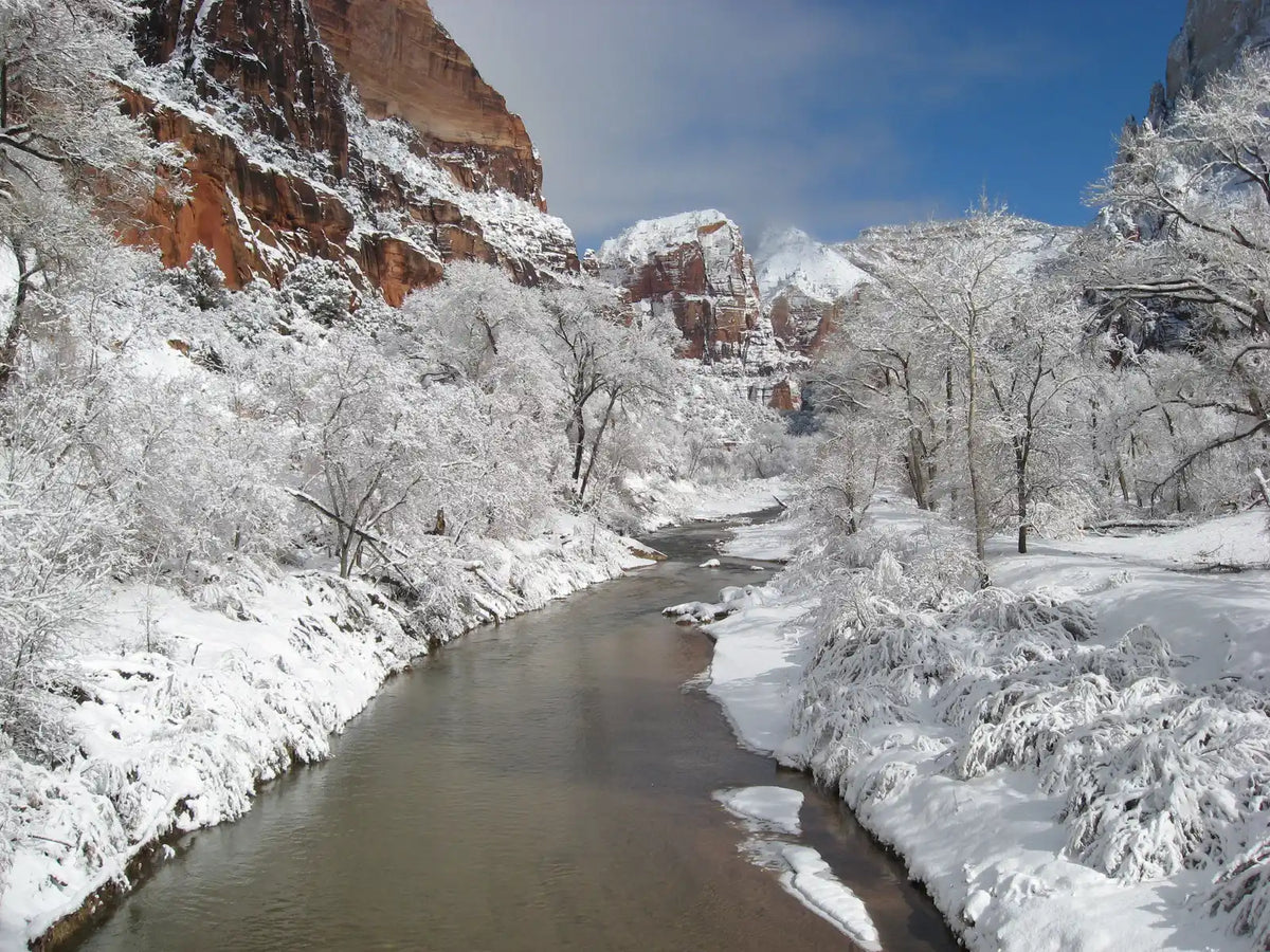 zion national park winter - The Virgin River running through a fresh snowfall in Zion Canyon
